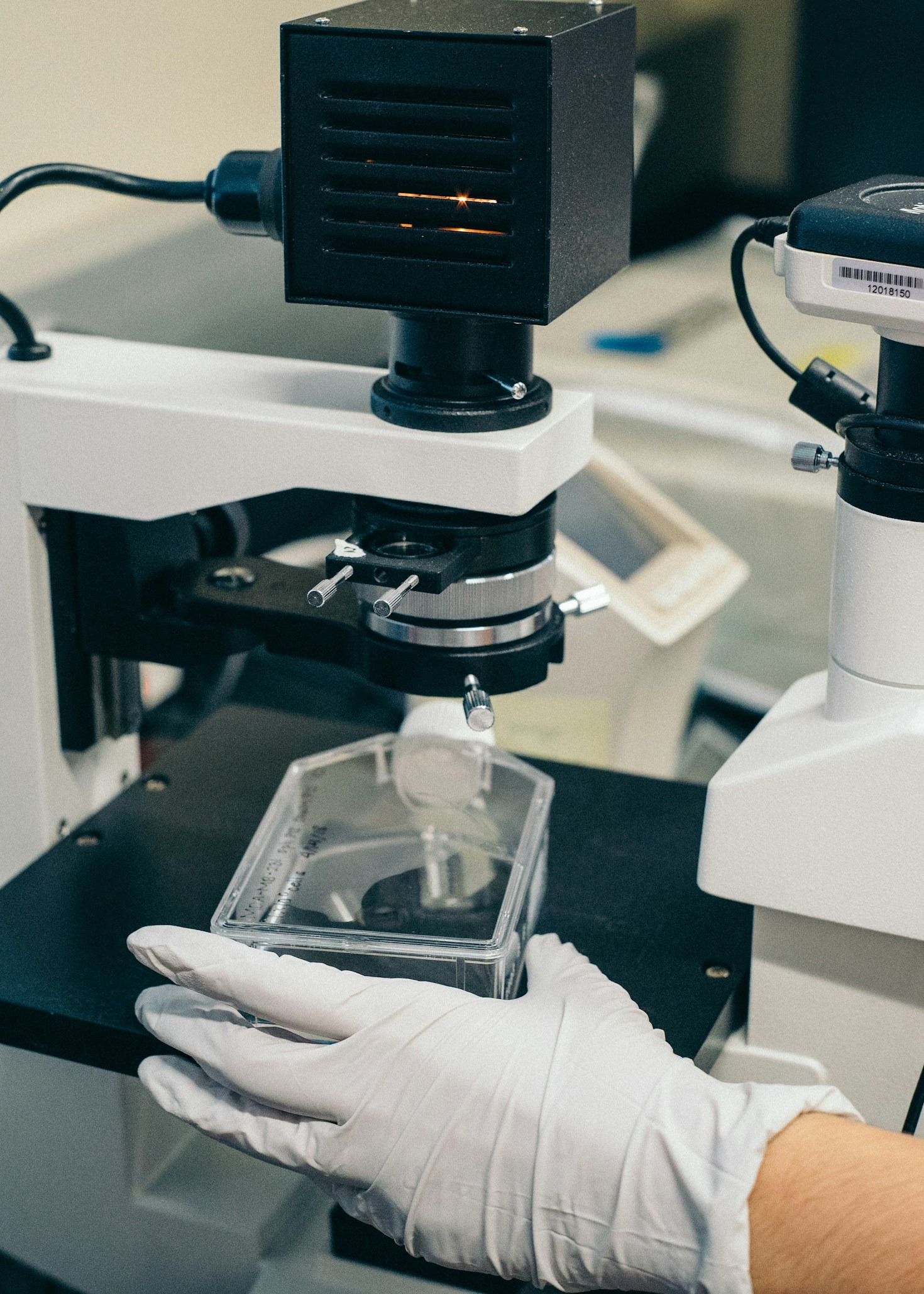 Understanding Your Ancestry Through Cutting-Edge Genomics